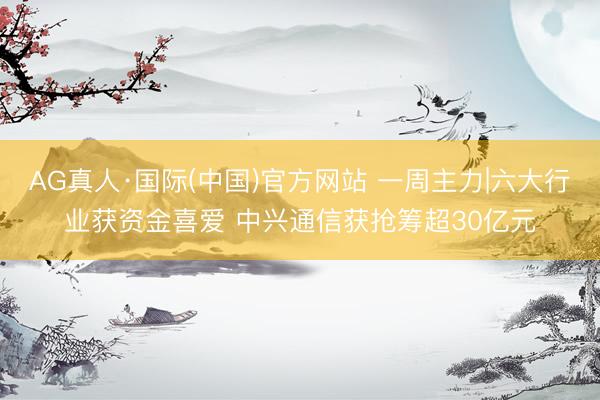 AG真人·国际(中国)官方网站 一周主力|六大行业获资金喜爱 中兴通信获抢筹超30亿元
