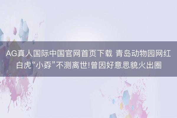 AG真人国际中国官网首页下载 青岛动物园网红白虎“小孬”不测离世!曾因好意思貌火出圈