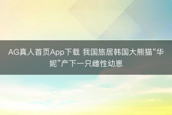 AG真人首页App下载 我国旅居韩国大熊猫“华妮”产下一只雌性幼崽